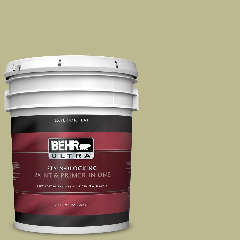 5 gal. #S340-4 Back to Nature Flat Exterior Paint and Primer in One